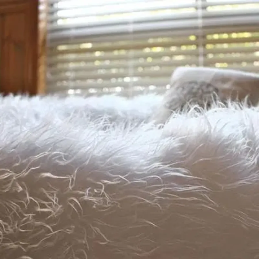 Fur Bean Bag - White Polo