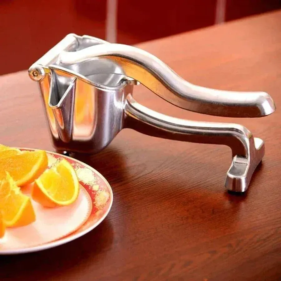 Stainless Steel Fresh Fruit Juice Extractor