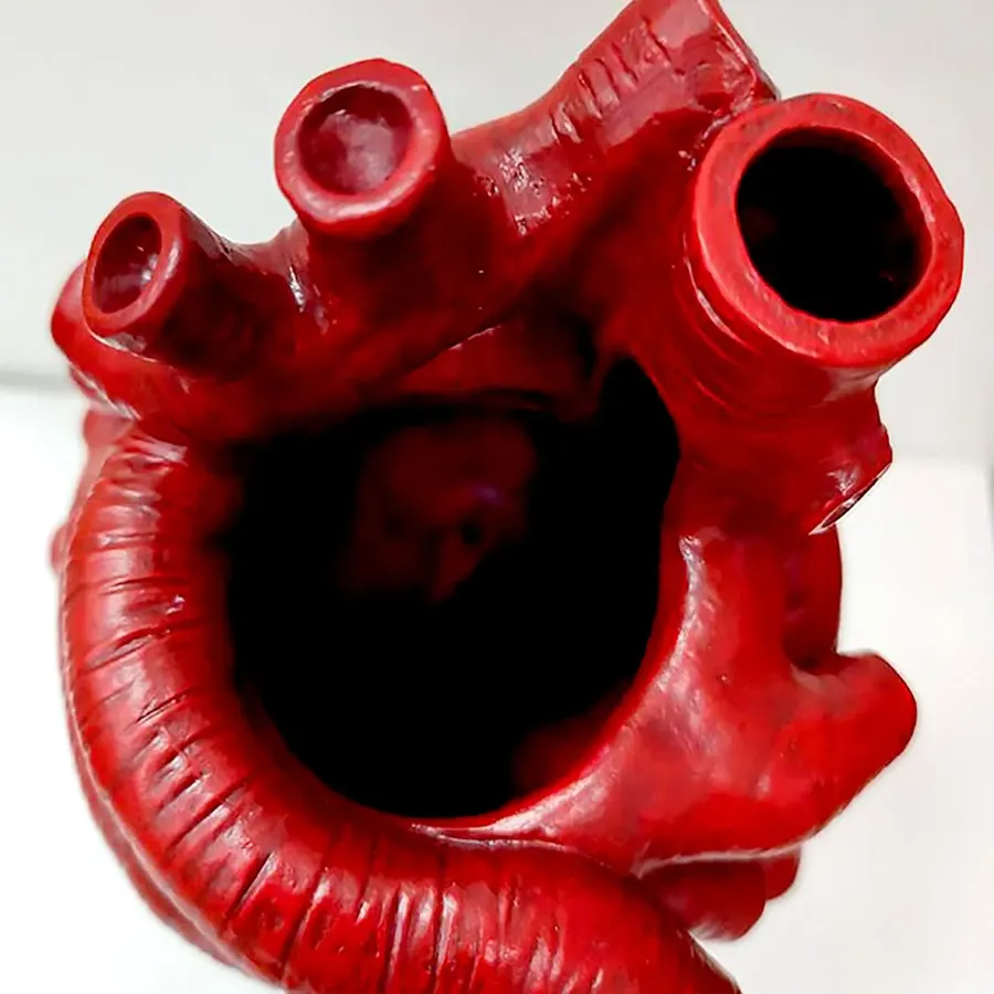 Realistic anatomical heart-shaped vase